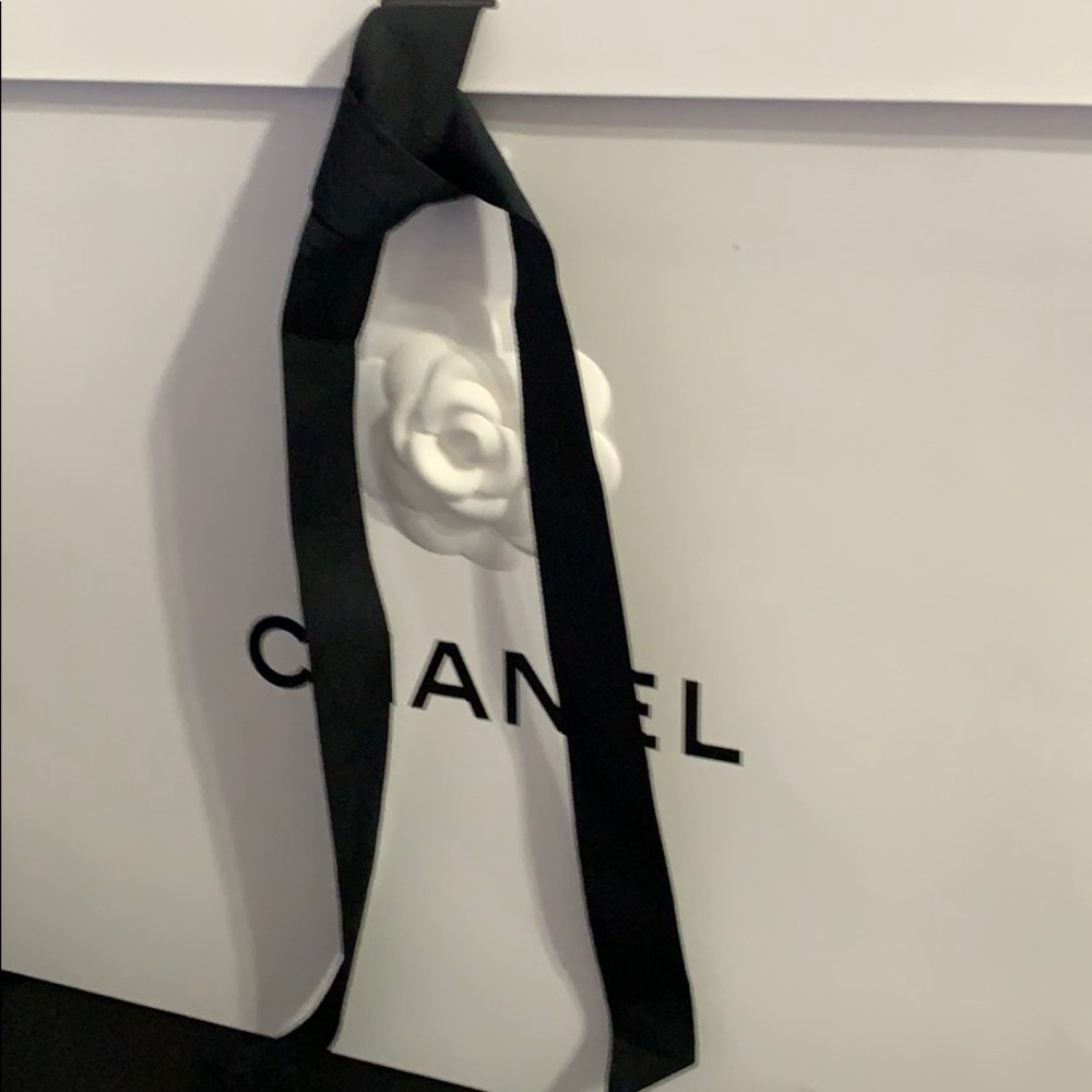 Chanel Gift Bag, Chanel Shopping Bag View 6